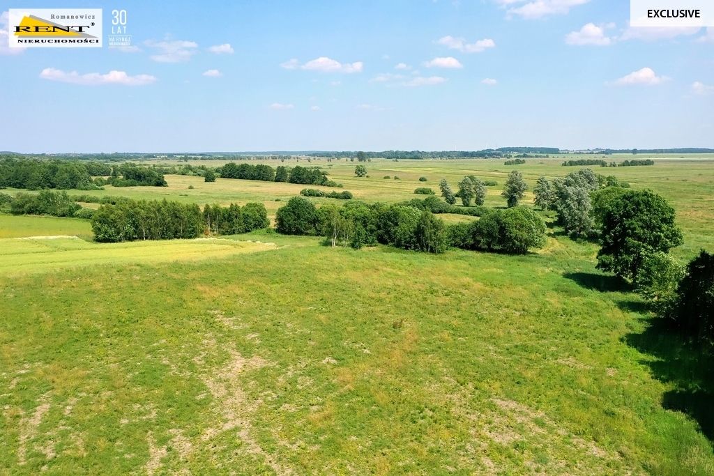 Działka inwestycyjna Ninikowo. Zdjęcie 8