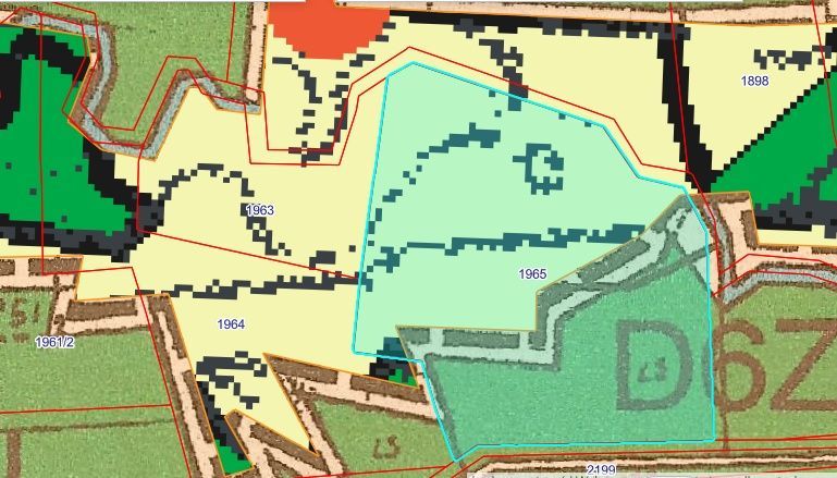 Działka Borów. Zdjęcie 2