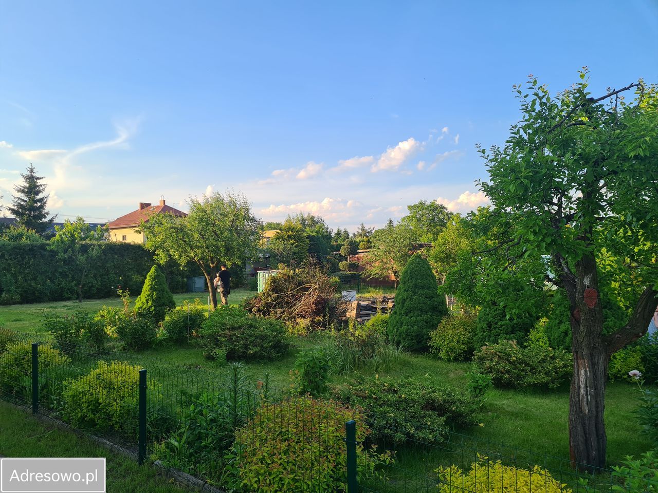 Działka rod Skierniewice, ul. Bielańska. Zdjęcie 6