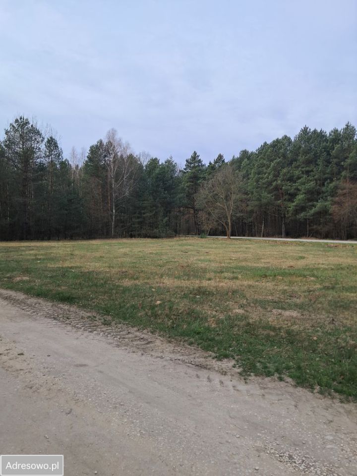 Działka budowlana Kurzelów. Zdjęcie 3