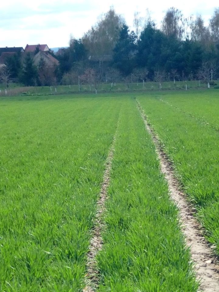 Działka budowlana Karczyn. Zdjęcie 2