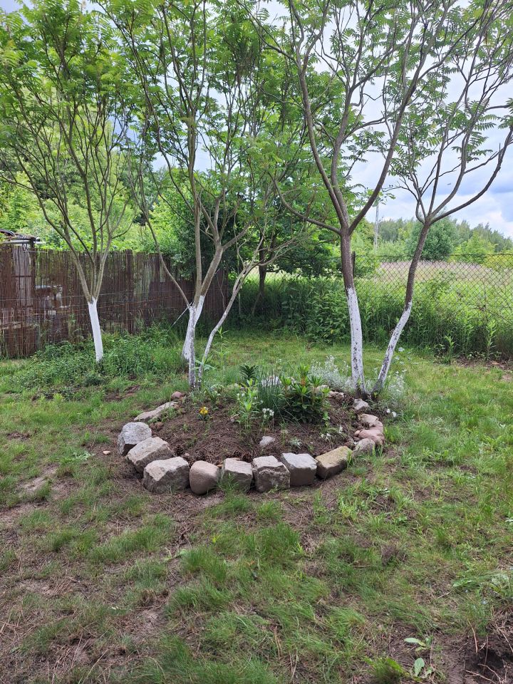 Działka rod Wrocław Jarnołtów, ul. Krobielowicka. Zdjęcie 4