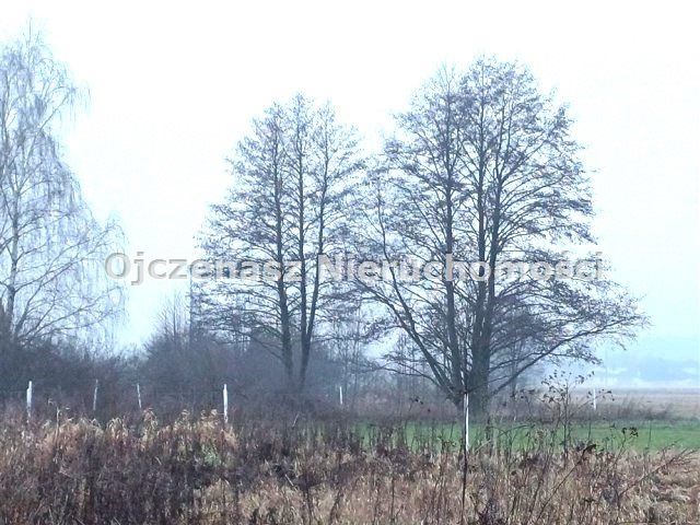 Działka budowlana Ciele. Zdjęcie 4