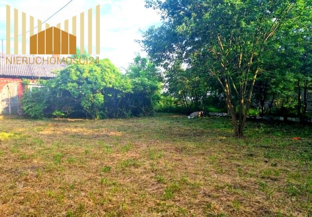 Działka siedliskowa Siennica. Zdjęcie 7