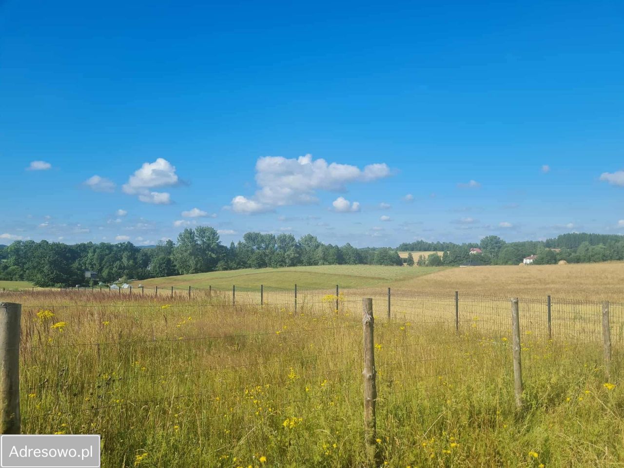 Działka budowlana Domaniewice. Zdjęcie 5