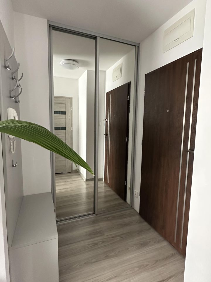 Mieszkanie 3-pokojowe Września Opieszyn, ul. Opieszyn. Zdjęcie 12