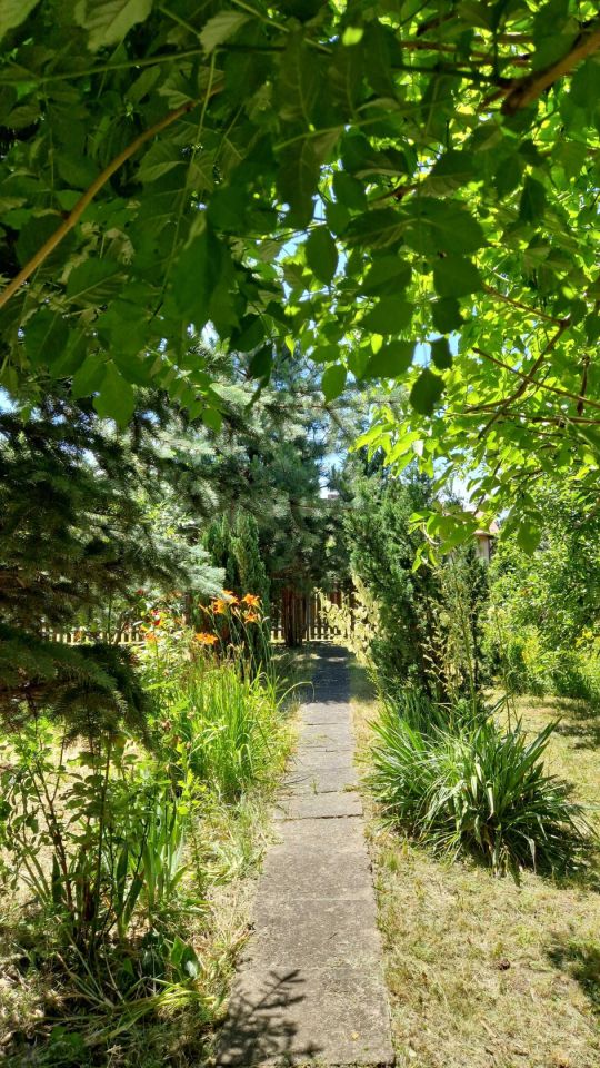 Działka rod Mielec. Zdjęcie 4