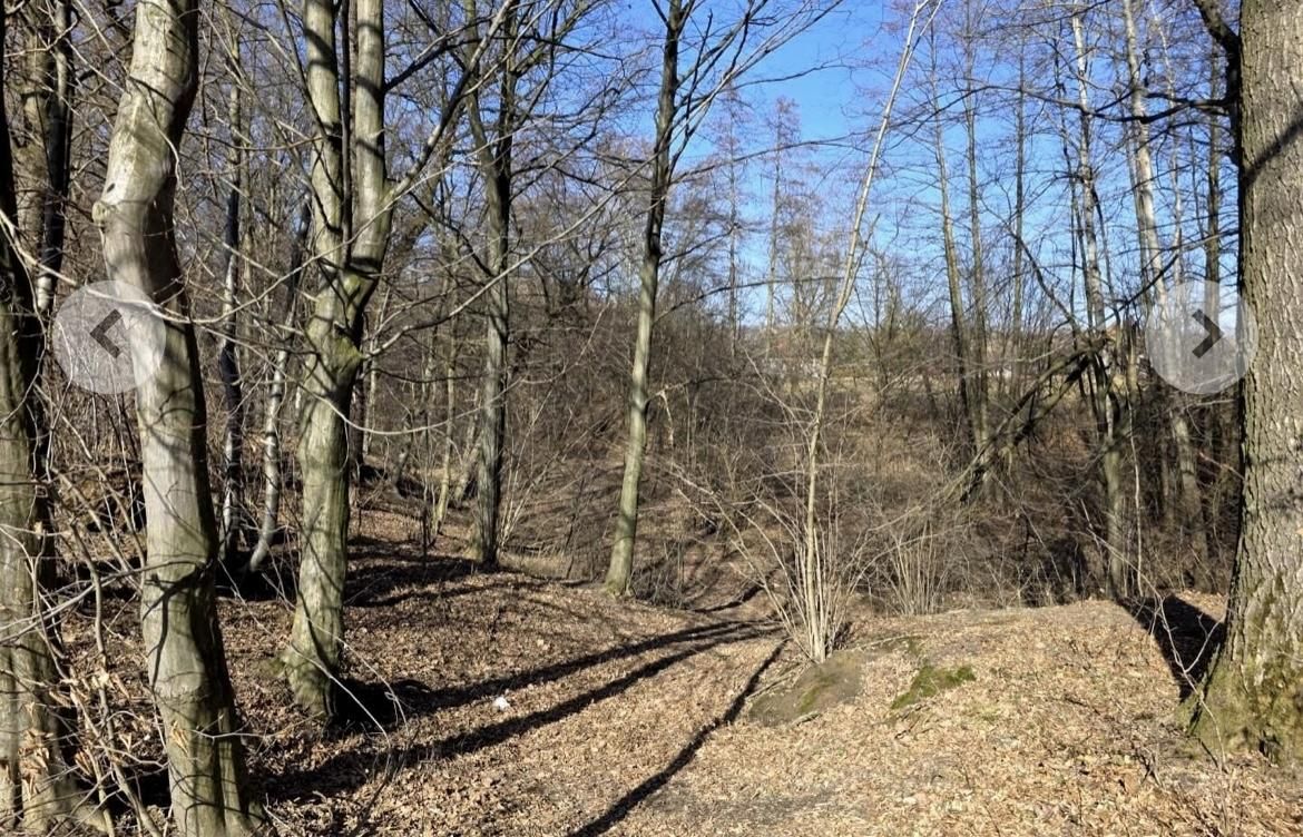 siedlisko, 3 pokoje Wójtowa. Zdjęcie 21