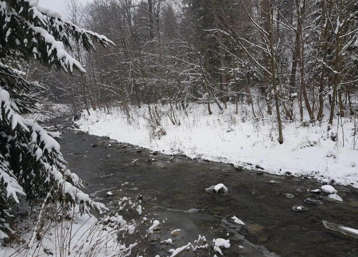 Działka budowlana Nowy Targ, ul. Kowaniec. Zdjęcie 8