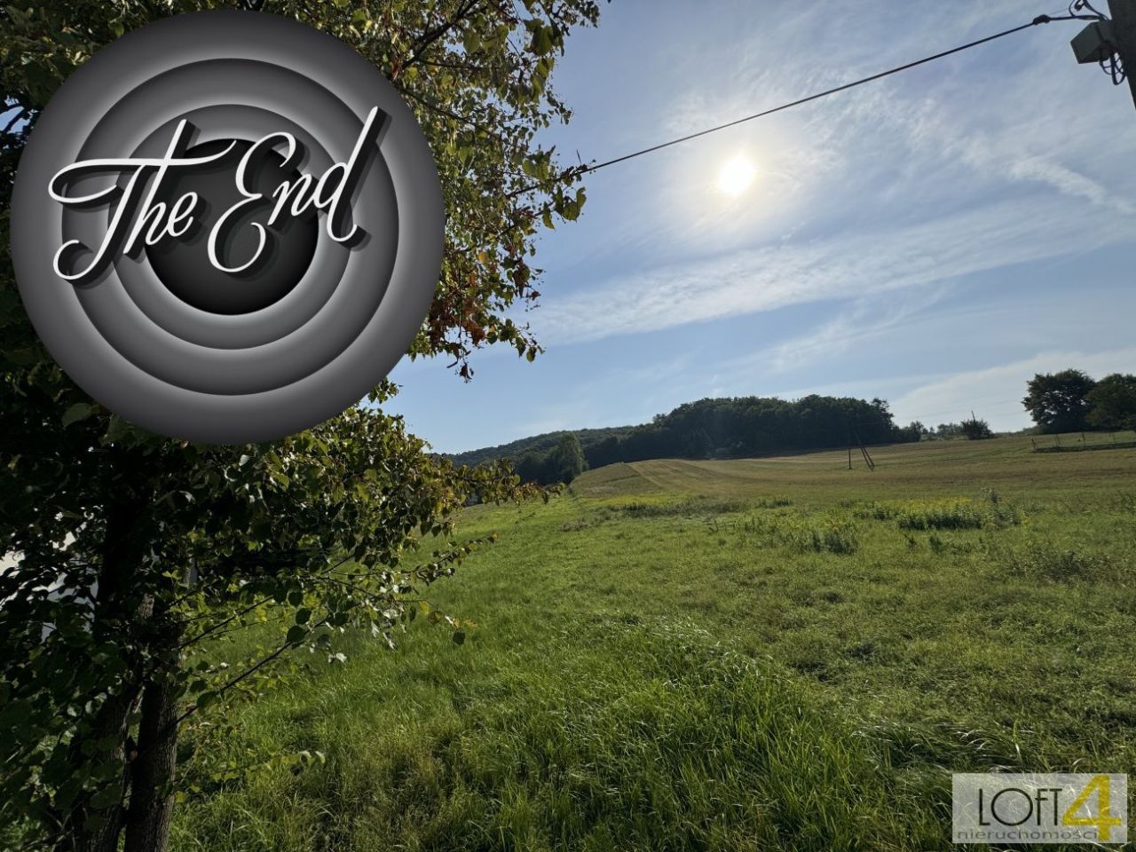 Działka rolno-budowlana Dąbrówka Szczepanowska. Zdjęcie 6