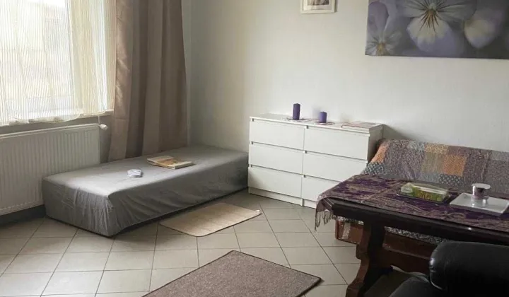 dom wolnostojący Żarki