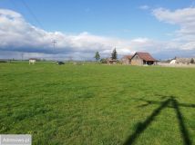 Działka rolna Ujazd. Zdjęcie 4