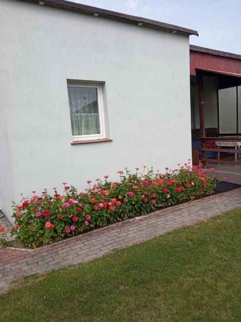 Działka rod Mirosławice. Zdjęcie 5