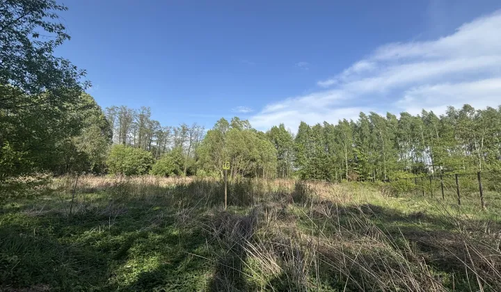 Działka budowlana Rąbień AB Rąbień A