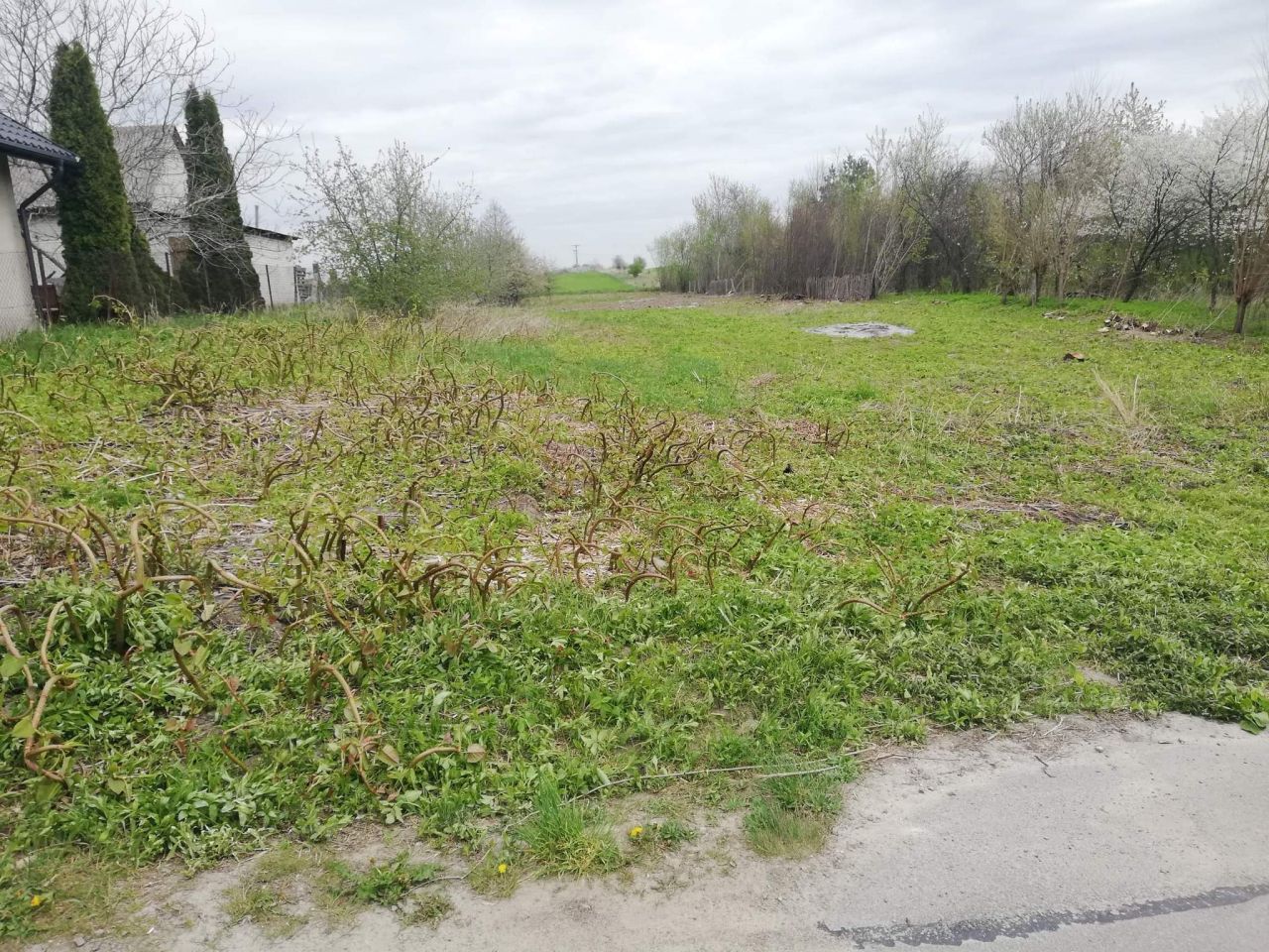 Działka budowlana Józefin. Zdjęcie 4