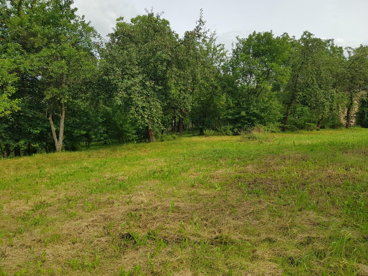 Działka budowlana Sanok Posada Sanocka, ul. Nowa. Zdjęcie 4