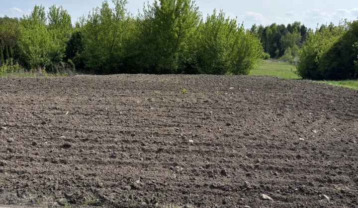 Działka budowlana Kuznocin Kuznocinek