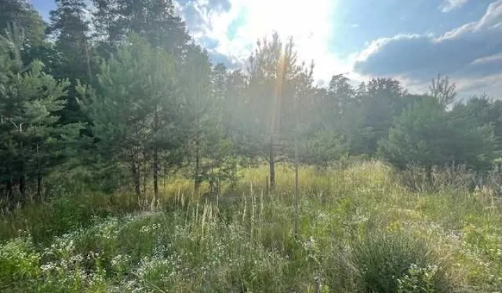 Działka budowlana Piaski