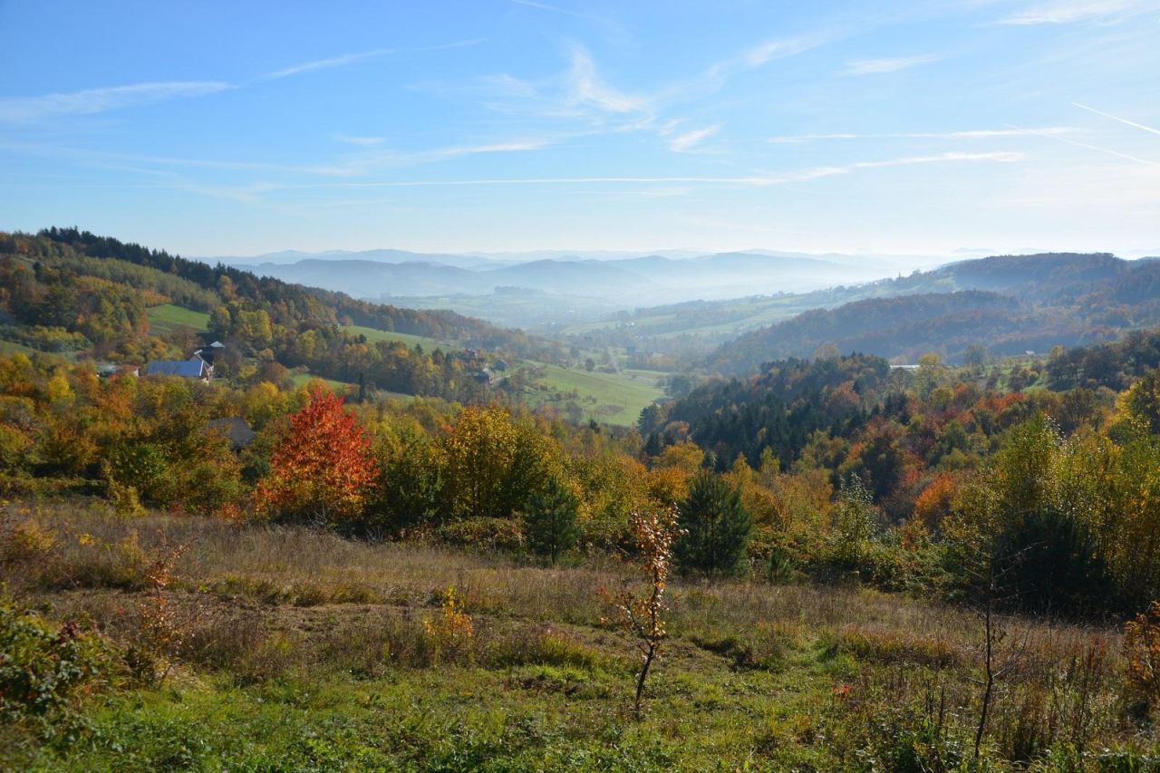 Działka rolna Wojakowa. Zdjęcie 3