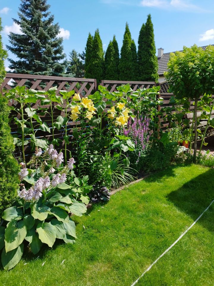 Działka rod Szałe. Zdjęcie 8