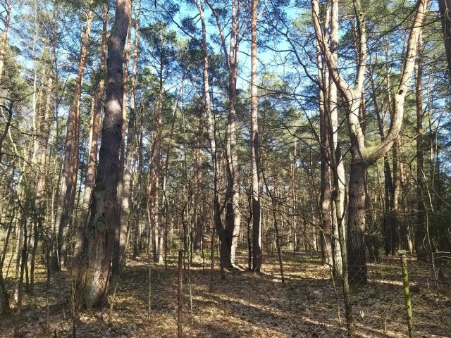 Działka rekreacyjna Osiedle Wilga. Zdjęcie 3