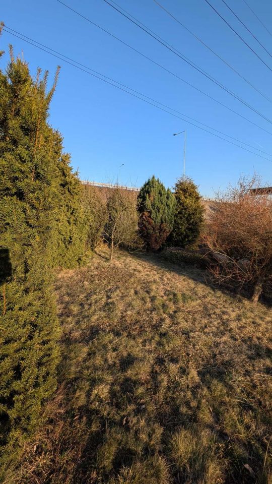 Działka rod Ruda Śląska Bielszowice. Zdjęcie 4