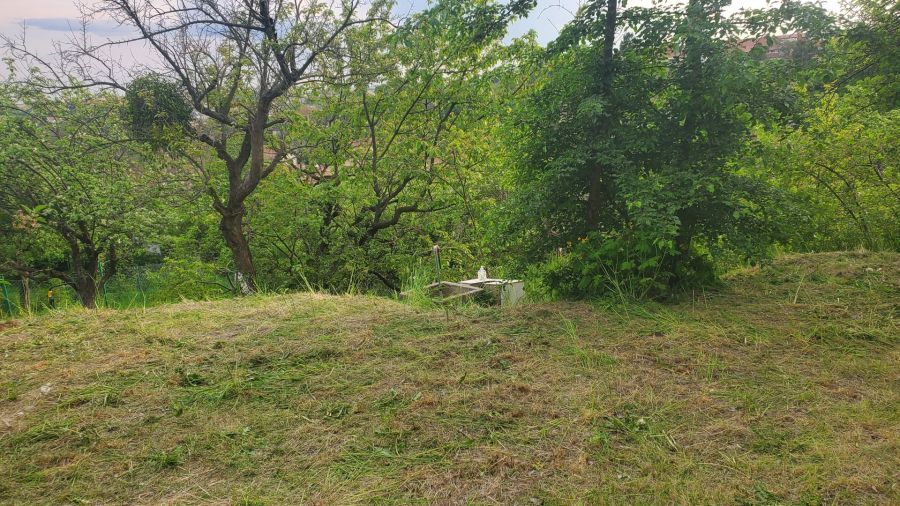 Działka rod Gdańsk. Zdjęcie 7