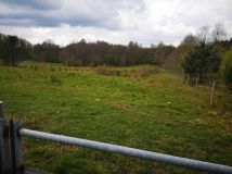 Działka rolna Mieszałki. Zdjęcie 3