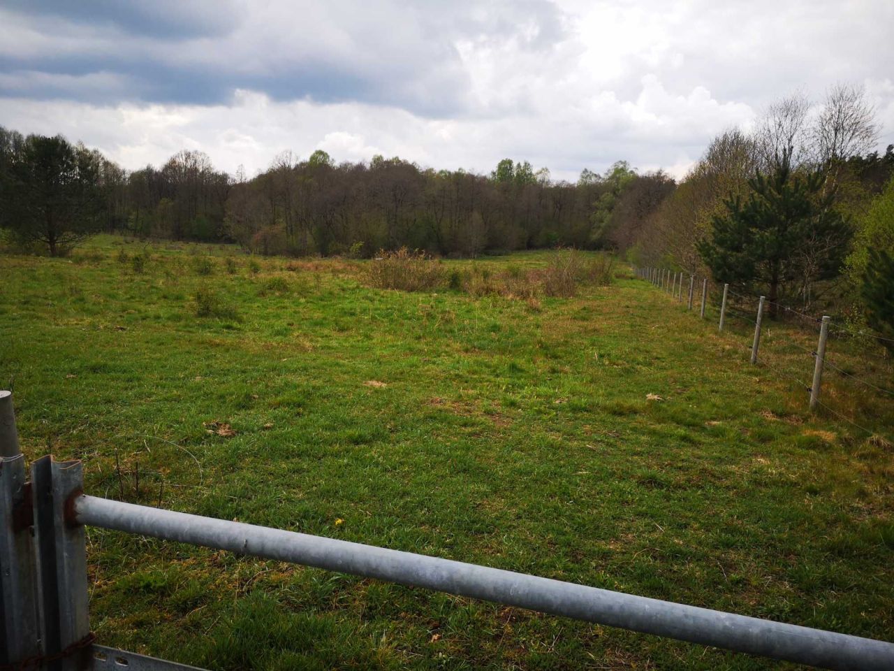 Działka rolna Mieszałki. Zdjęcie 4