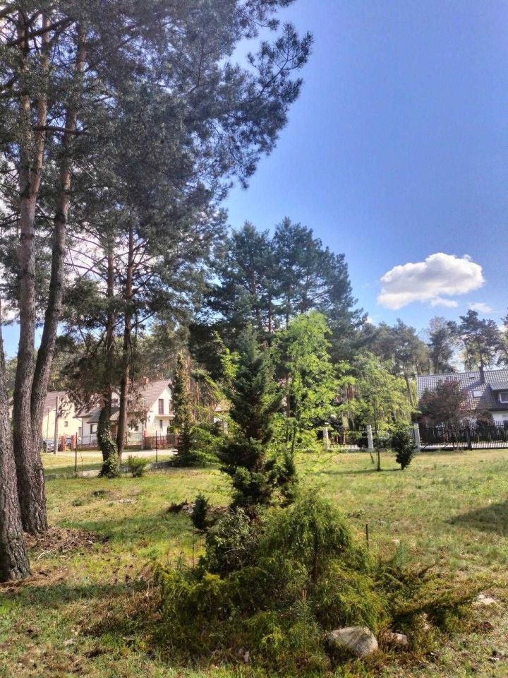 Działka budowlana Nowy Prażmów, ul. Roxany. Zdjęcie 4