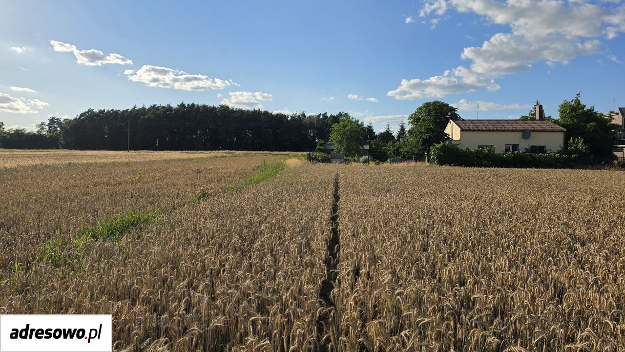 Działka rolno-budowlana Będlewo, ul. Wiejska. Zdjęcie 9