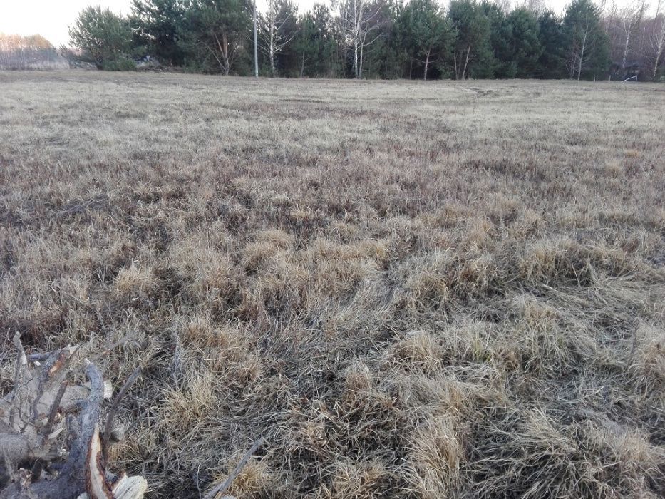 Działka budowlana Święcienica, ul. Niecała. Zdjęcie 7