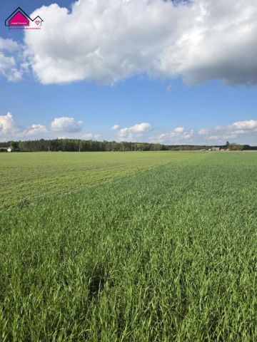 Działka rekreacyjna Skrzynka. Zdjęcie 7