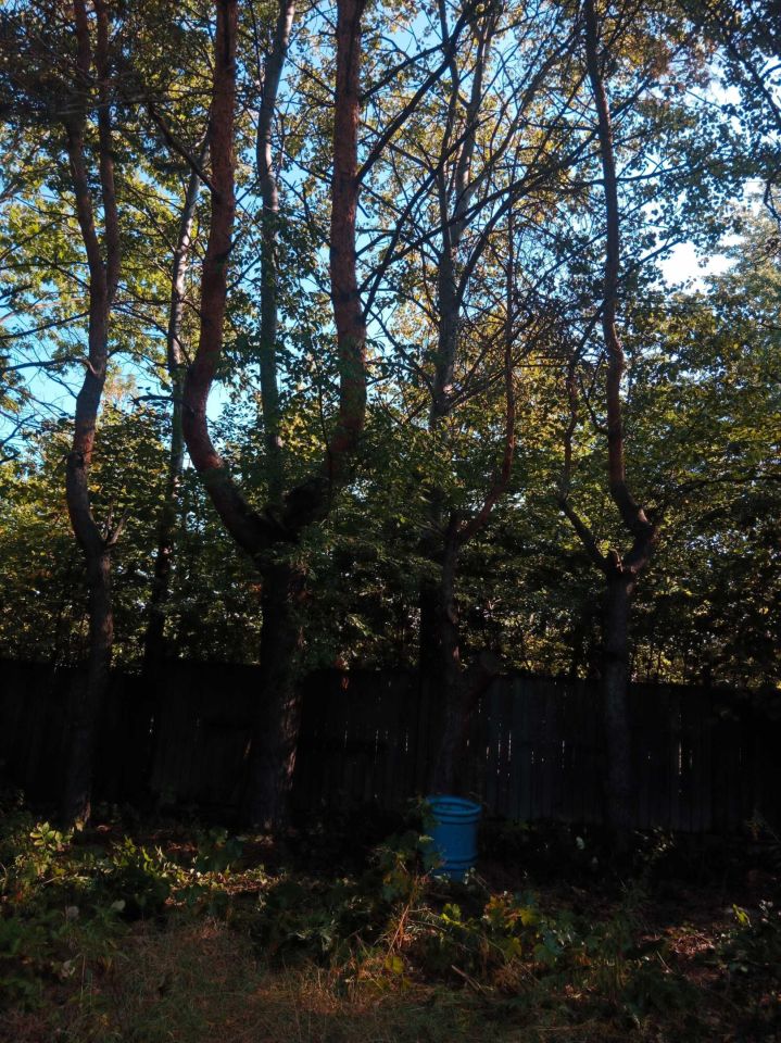 Działka rod Szczaki. Zdjęcie 5