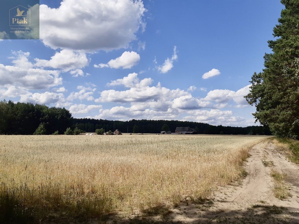 Działka budowlana Stefanowice. Zdjęcie 12