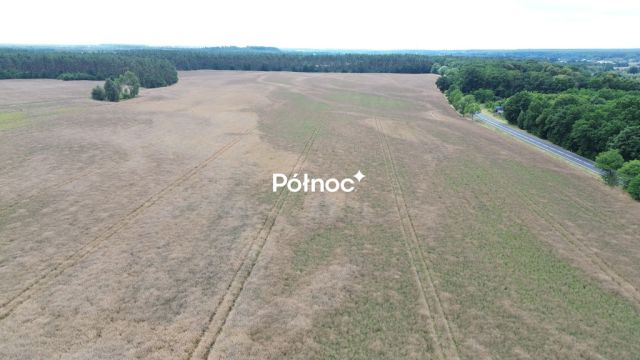Działka inwestycyjna Dąbrowa Bolesławiecka. Zdjęcie 7