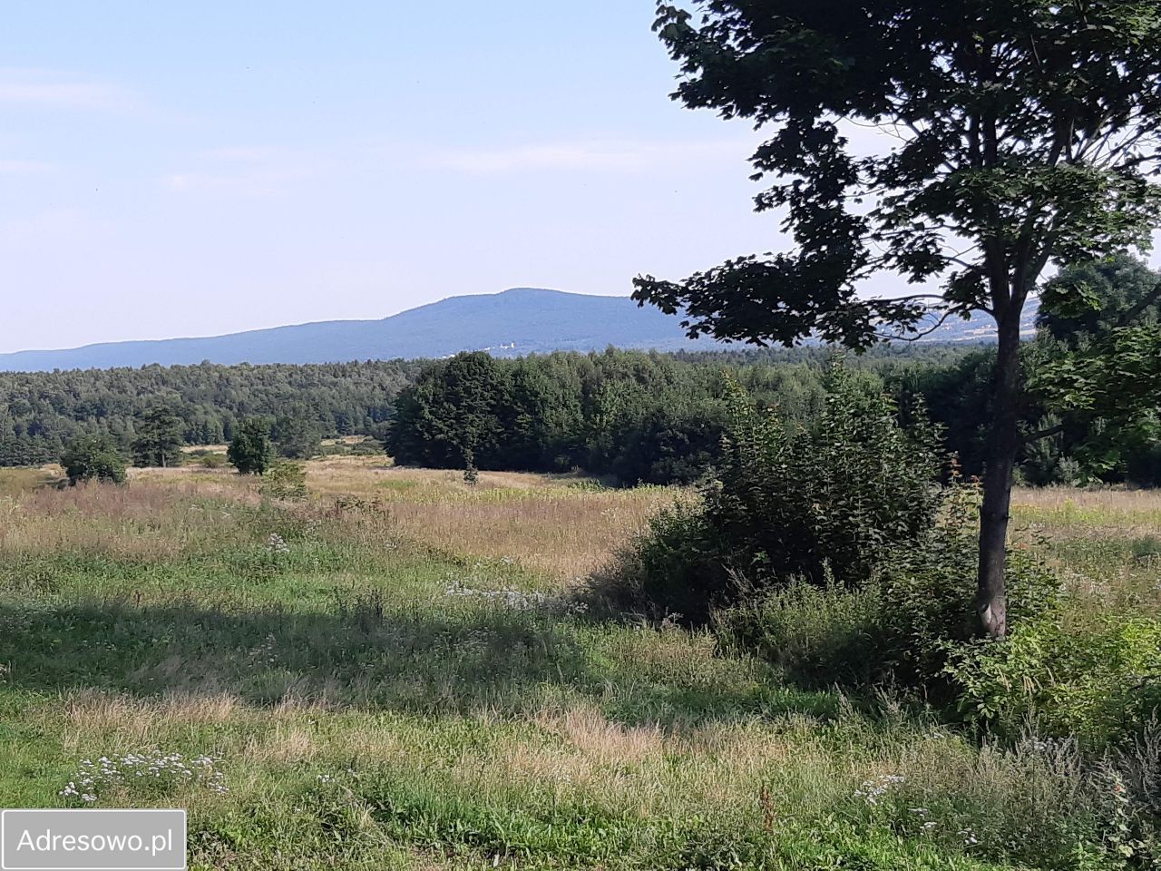 Działka rolno-budowlana Klonów. Zdjęcie 1