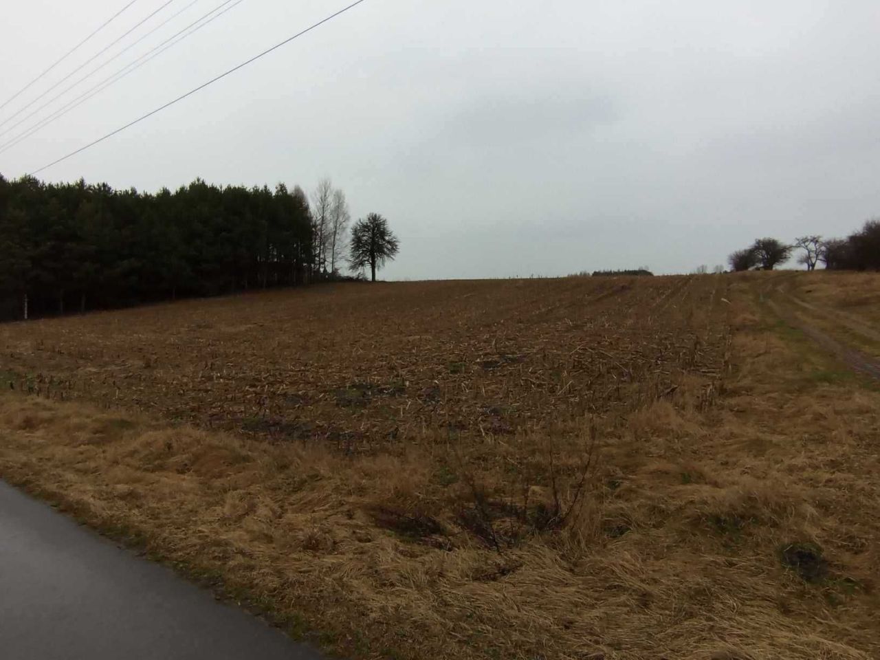 Działka rolna Stary Ciepielów. Zdjęcie 2