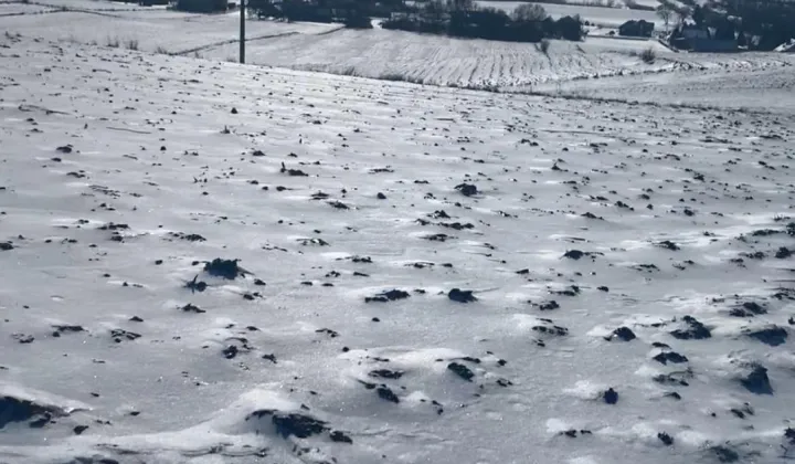 Działka rolno-budowlana Włostowice