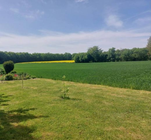 Działka budowlana Łuszczów-Kolonia. Zdjęcie 1