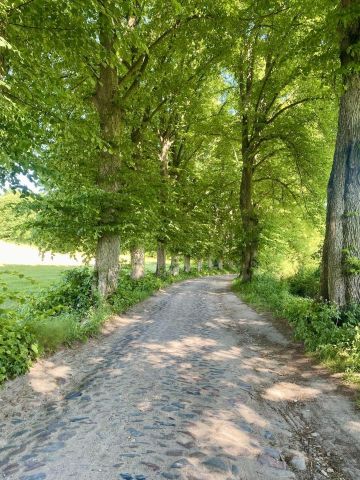 Działka budowlana Łapino Kartuskie. Zdjęcie 12