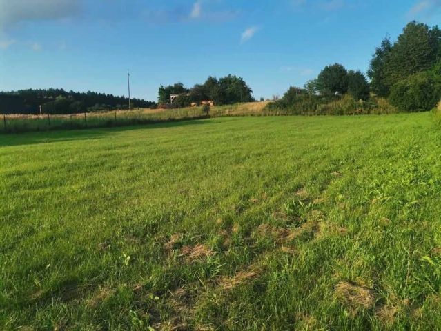 Działka rolno-budowlana Ciotusza Stara. Zdjęcie 1