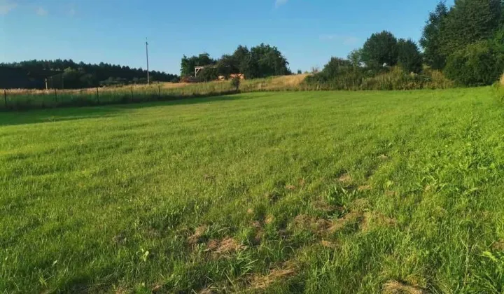 Działka rolno-budowlana Ciotusza Stara