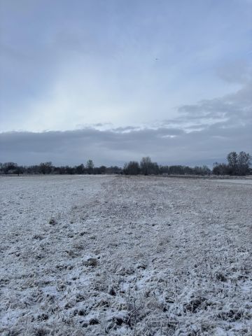 Działka budowlana Wilków Polski. Zdjęcie 1