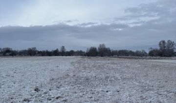 Działka budowlana Wilków Polski