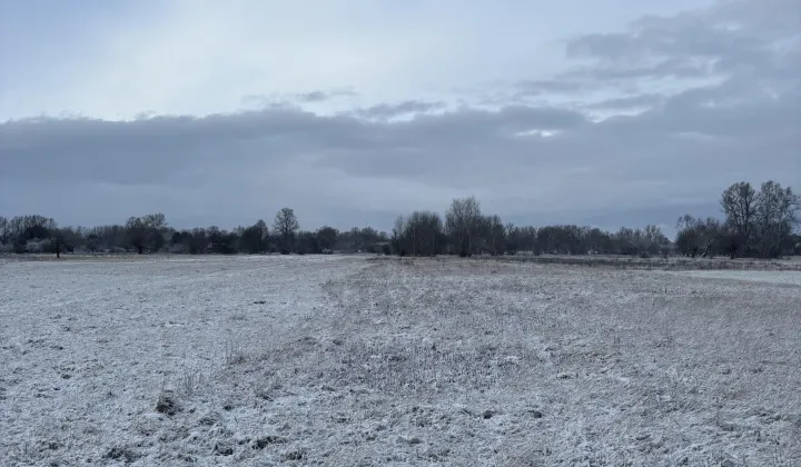 Działka budowlana Wilków Polski