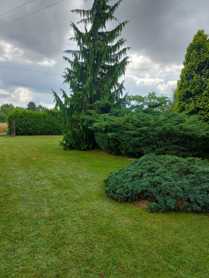 Działka budowlana Swędów, ul. Szumiących Jodeł. Zdjęcie 4