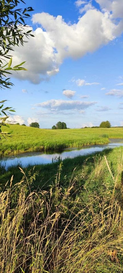 Działka budowlana Liwa. Zdjęcie 7