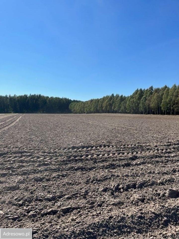 Działka rolna Ciechanowiec Ciechanowczyk. Zdjęcie 4