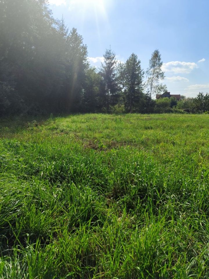 Działka rolno-budowlana Łubki. Zdjęcie 6